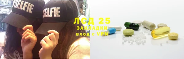 гашик Михайловск