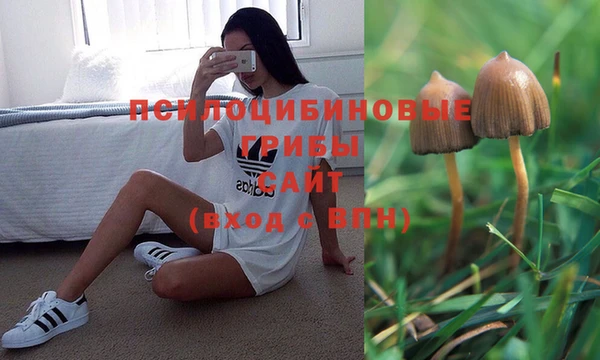 кокаин перу Михайлов