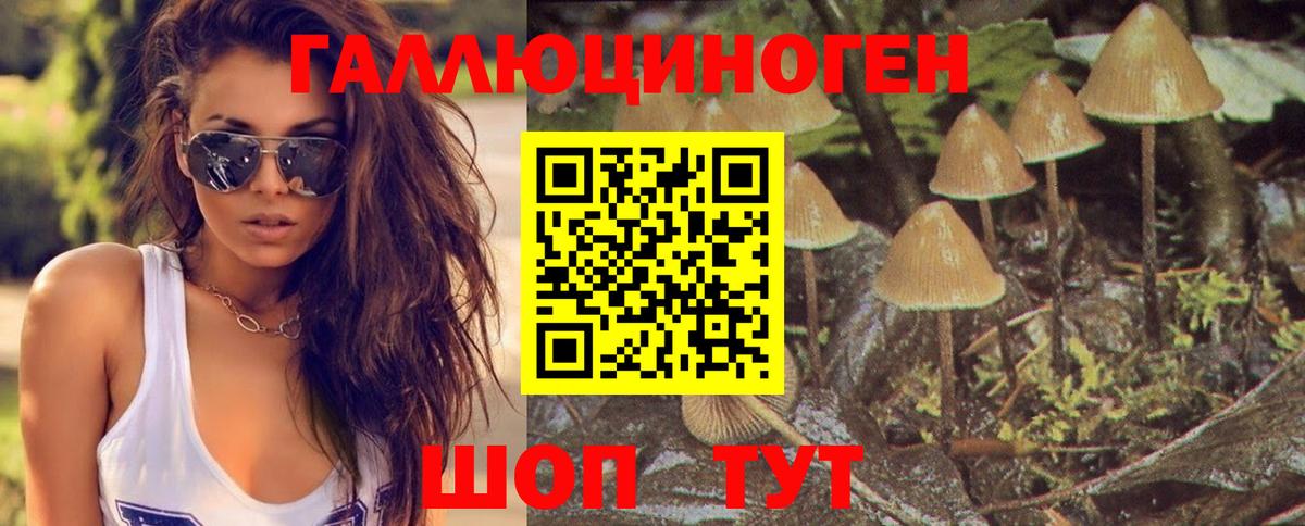 Великий Новгород  дарнет шоп  Вход с VPN  Псилоцибиновые грибы мухоморы 