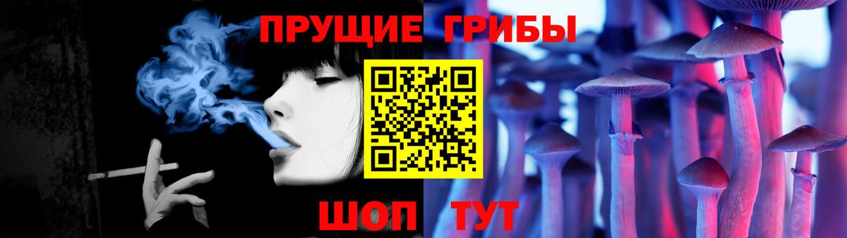 Псилоцибиновые грибы Psilocybe Великий Новгород